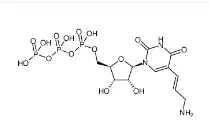 CAS號(hào)：112131-73-4，Aminoallyl-UTP，氨基烯丙基尿苷三磷酸