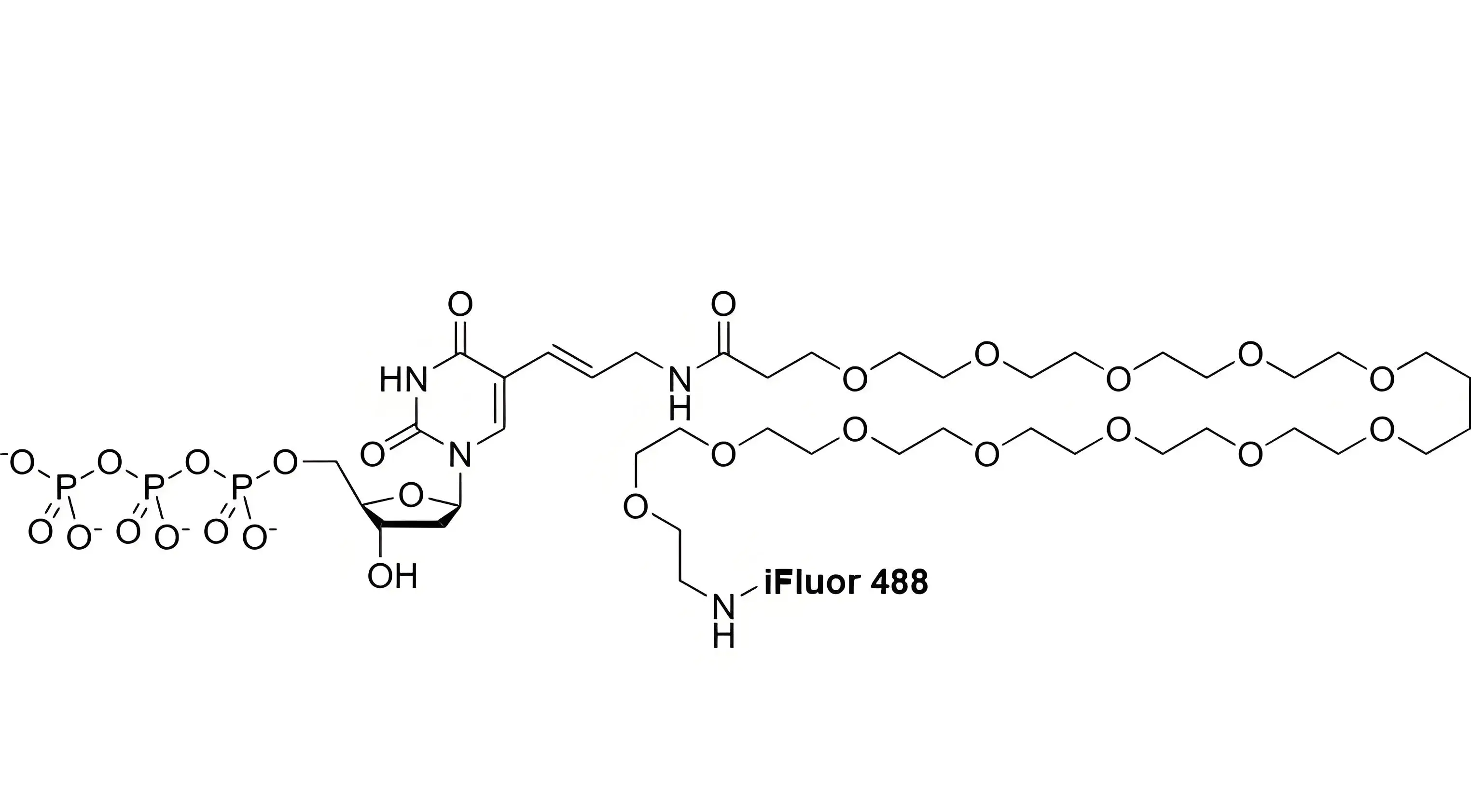 iFluor488-PEG12-dUTP，iFluor488-十二聚乙二醇-脫氧尿苷三磷酸的光譜特性解析及FISH濾光片選配指南