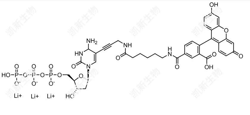 FAM-11-dCTP，熒光素標(biāo)記脫氧胞苷三磷酸：高效熒光標(biāo)記的脫氧胞苷三磷酸衍生物及其分子生物學(xué)應(yīng)用