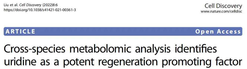 小動物跑步機|跨物種代謝組學分析揭示尿苷是強大的促進再生因子