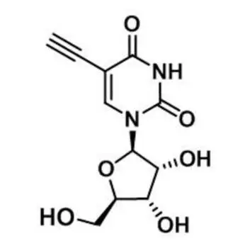 5-Ethynyluridine，5-EU，69075-42-9，核心結(jié)構(gòu)特點(diǎn)是在尿苷的5位碳上引入了一個(gè)乙炔基