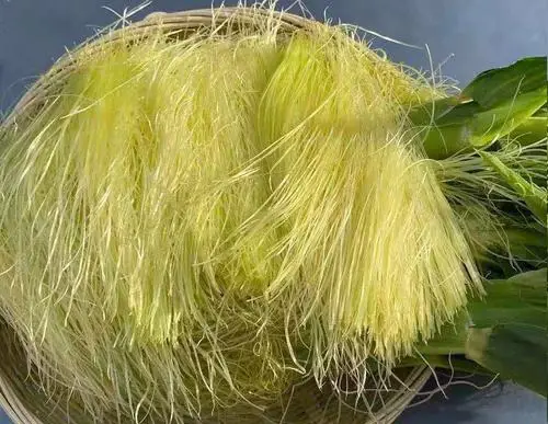 痛風(fēng)食療指南！8種低嘌呤食物建議常吃，溫和緩解不適少復(fù)發(fā)